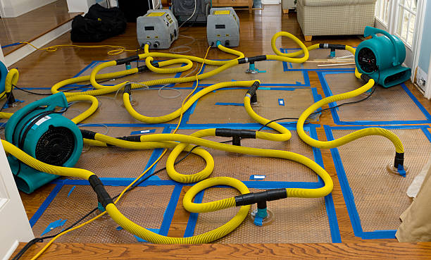 Professional Basement Flood Cleanup technician working in North Chatham, MA